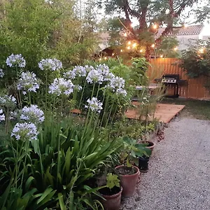 Les Bambous , Jardin , Terrasse , Climatisation , Wifi , Parking , Avignon France
